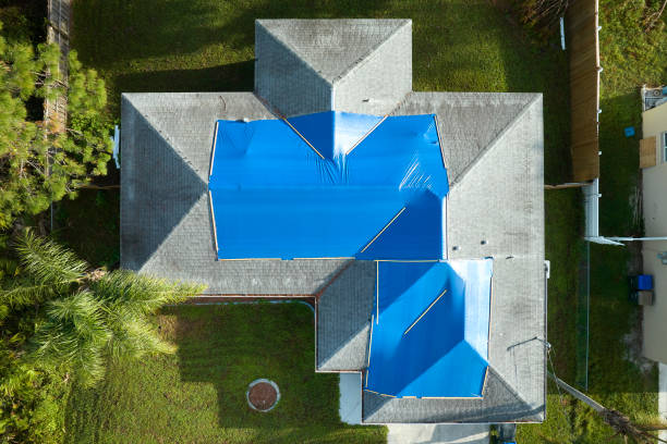 Best Roof Moss and Algae Removal  in Awendaw, SC